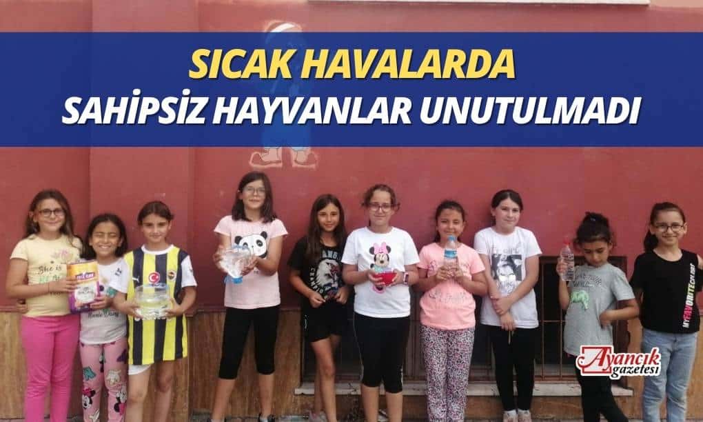 Ayancık’ta Öğrenciler Minik Dostlarını Unutmadı