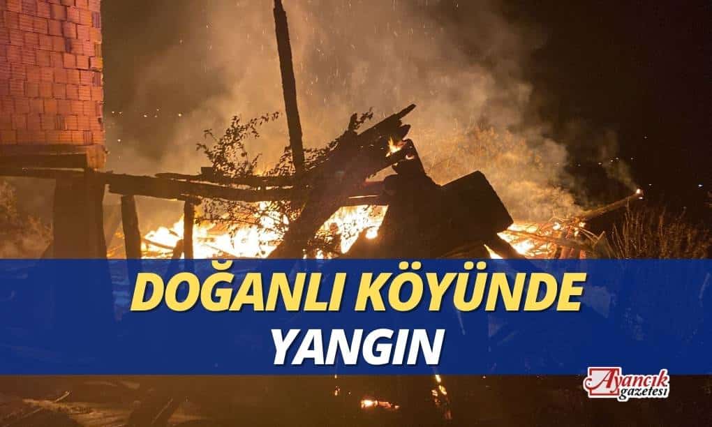 Ayancık Doğanlı Köyünde Yangın