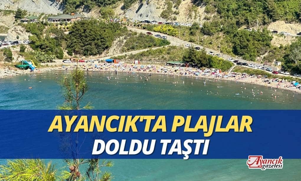 Ayancık’ta sıcaktan bunalanlar plajlara akın etti