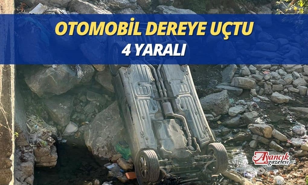 Doğanlı Köyünde Otomobil Dereye Uçtu