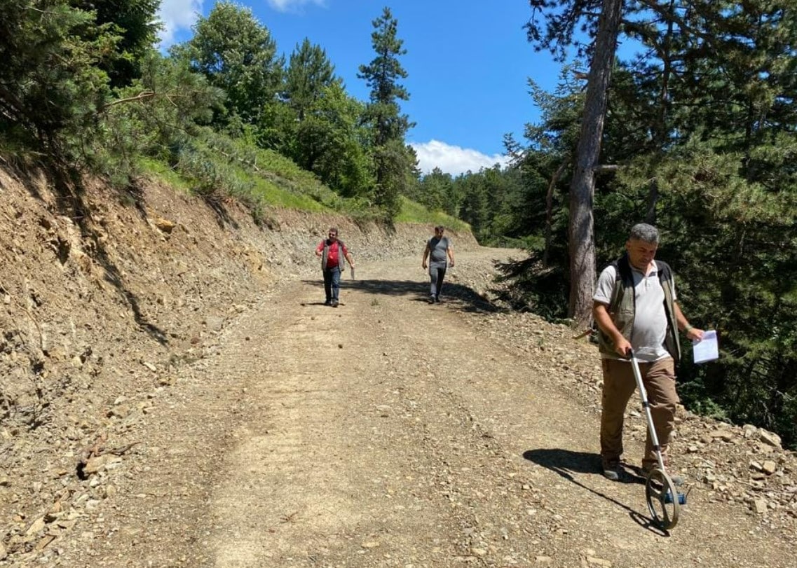 Ayancık'ta Ormanları Gençleştirme Çalışmaları Sürüyor