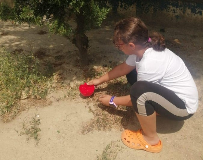 Ayancık'ta Öğrenciler Minik Dostlarını Unutmadı