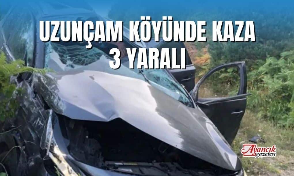 Uzunçam Köyünde Trafik Kazası; 3 Hafif Yaralı