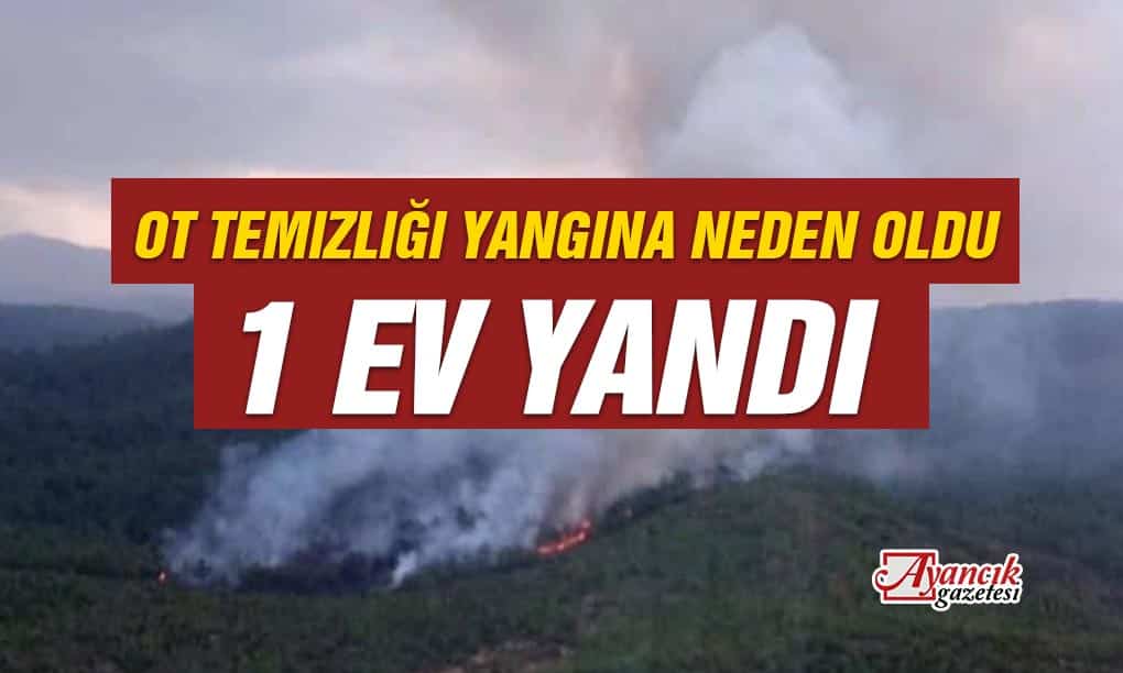 Ot Temizliği Yangınan Neden Oldu