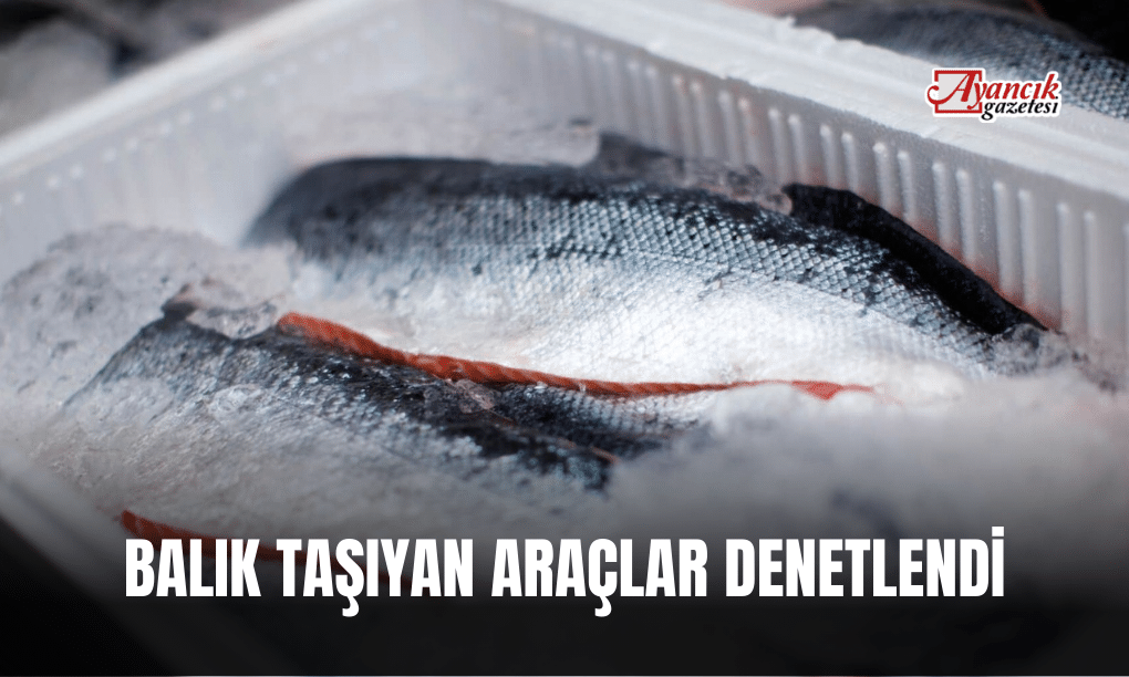 Balık Taşıyan Araçlar Denetlendi