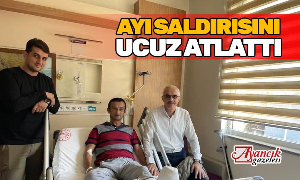 Ayı Saldırısını Ucuz Atlattı