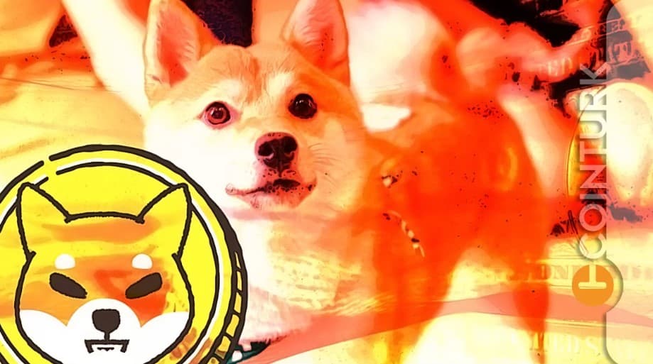 Bitcoin (BTC) ve Shiba Inu (SHIB) Yorumları