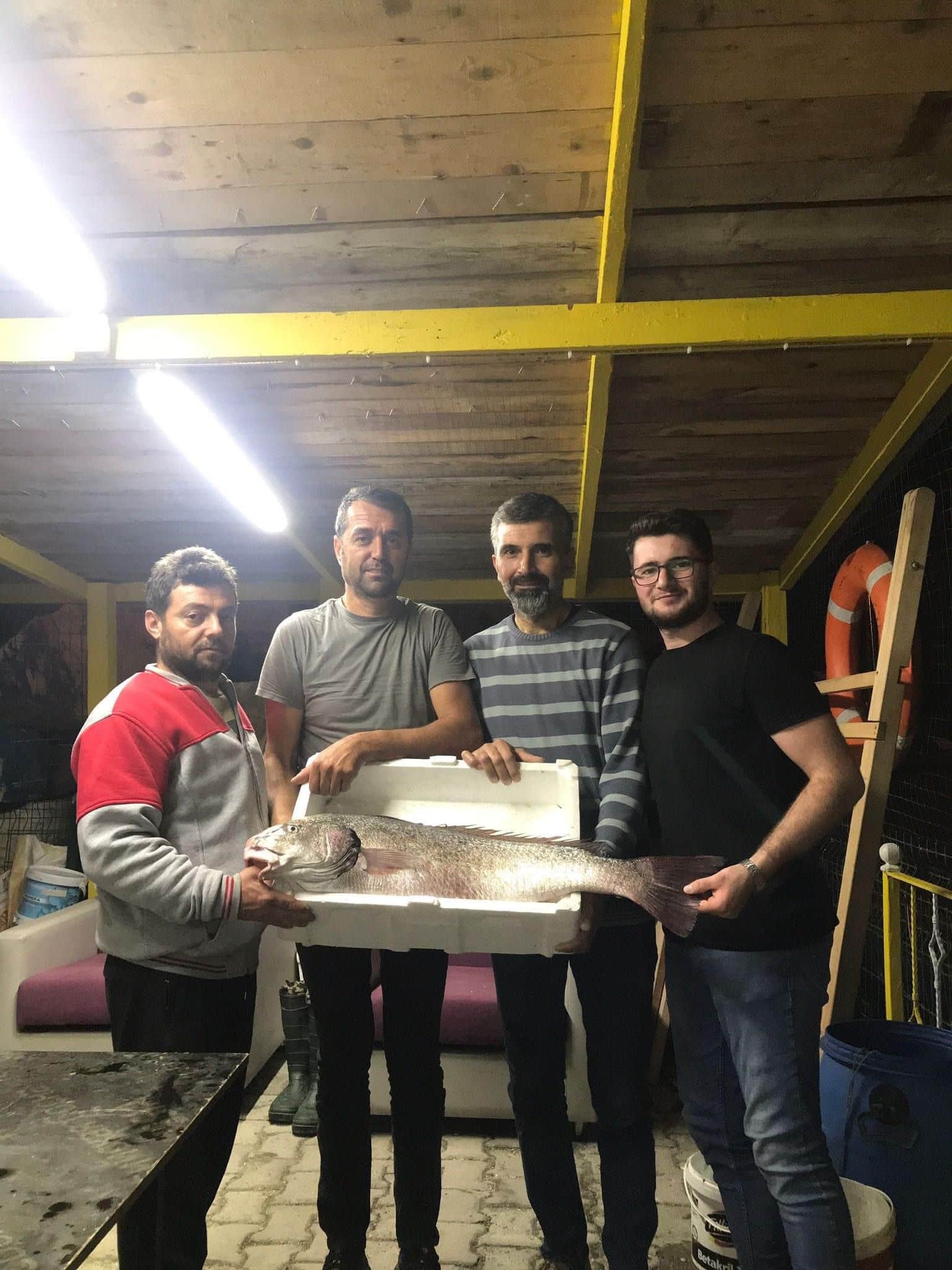 Ayancık'ta 8 Kilo Kötek Balığı Yakalandı