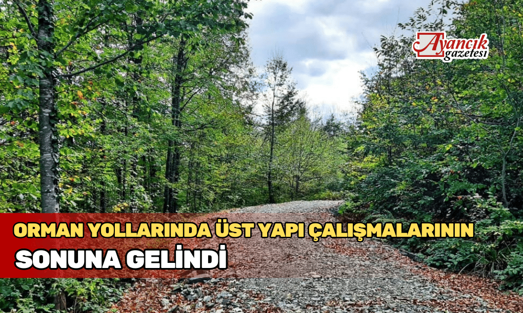 Orman Yollarında Üst Yapı Çalışmalarının Sonuna Gelindi