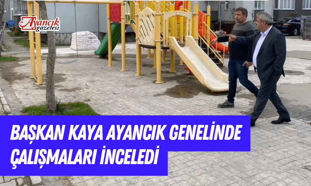 Başkan Kaya Ayancık Genelinde Çalışmaları İnceledi