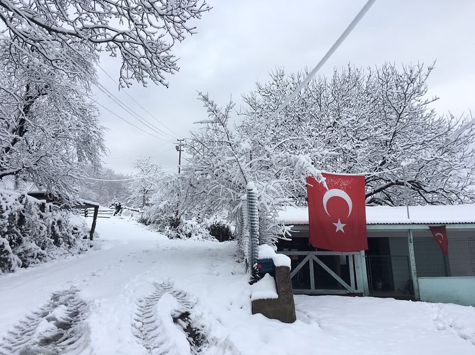 Kar Yağışı Ayancık'ı Beyaza Bürüdü