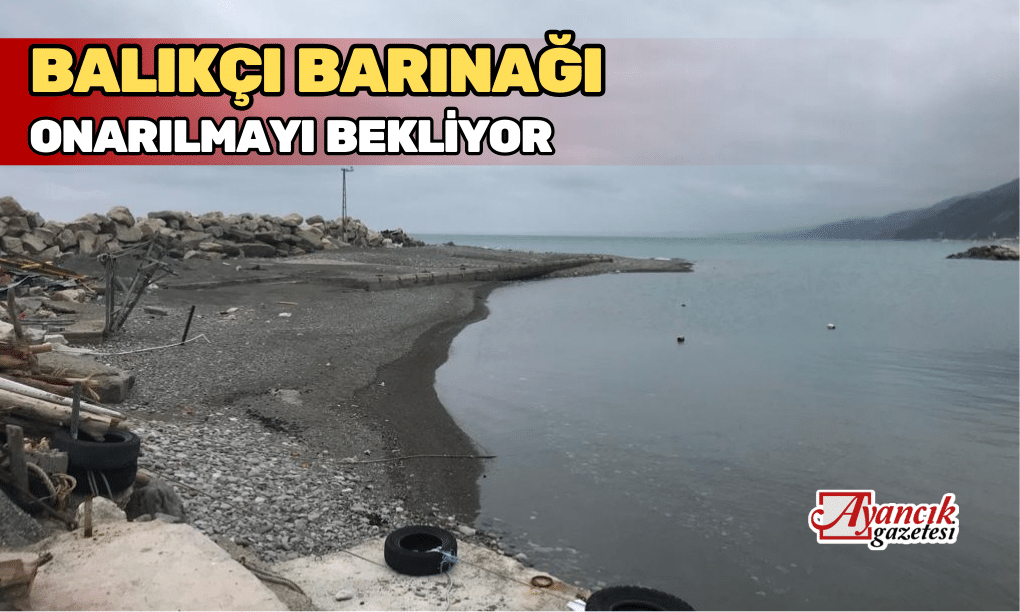 Balıkçı Barınağı Onarılmayı Bekliyor