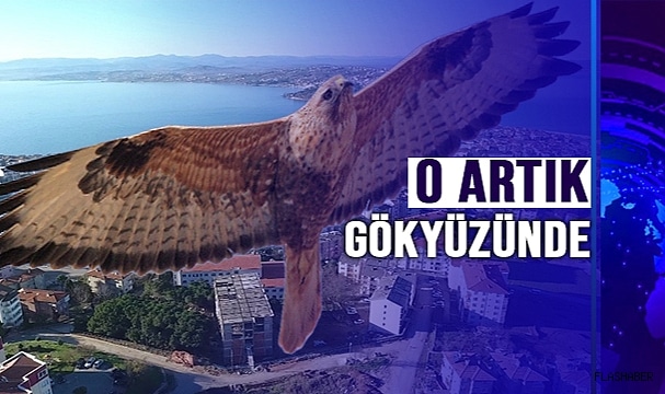 ARTIK GÖKYÜZÜNDE!
