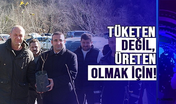 Ayancık’ta Çiftçilere Destek