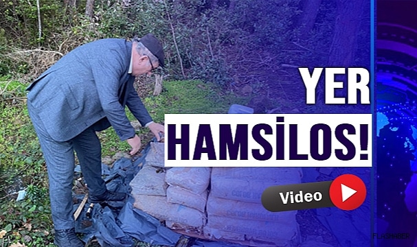 DEVLET MALI ORMANDA KALMIŞ!