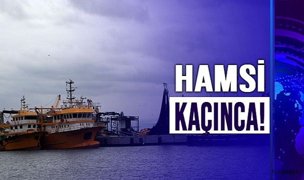 MEYDAN ONA KALDI