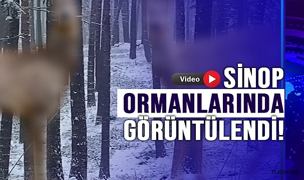 O ANLAR KAMERALARA YANSIDI!