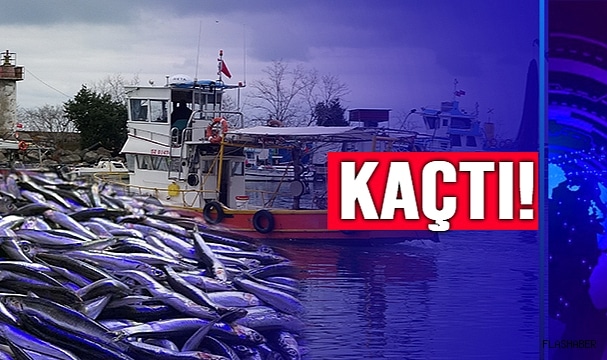 ONU DA ETKİLEDİ!
