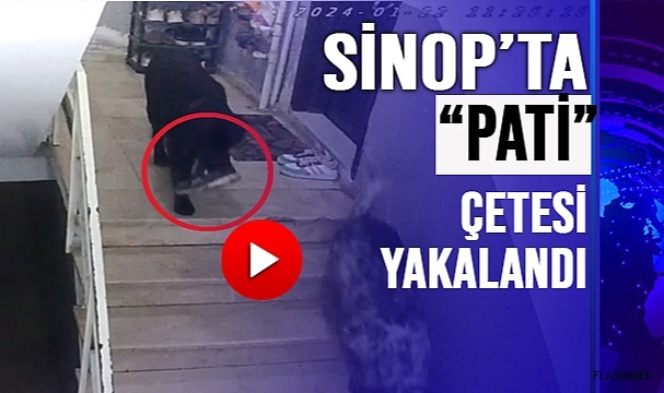 “PATİ” HIRSIZLIĞI