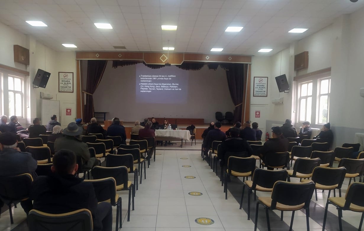 Ayancık'ta arı hastalıkları konferansı düzenlendi