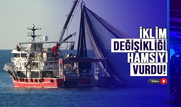 HAMSİ DOĞU KARADENİZ’İ TERK ETTİ!