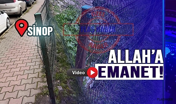 KORUMALIKLARI KİM KORUYACAK?
