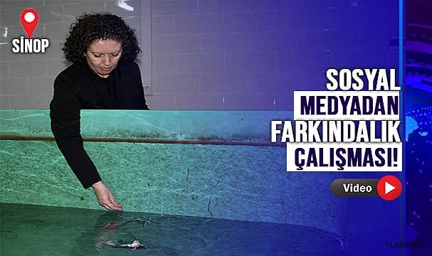 MERSİN BALIĞININ GELECEĞİ İÇİN ÇALIŞMALAR SÜRÜYOR!