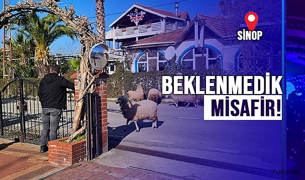 OTELE KOÇ BASKINI!