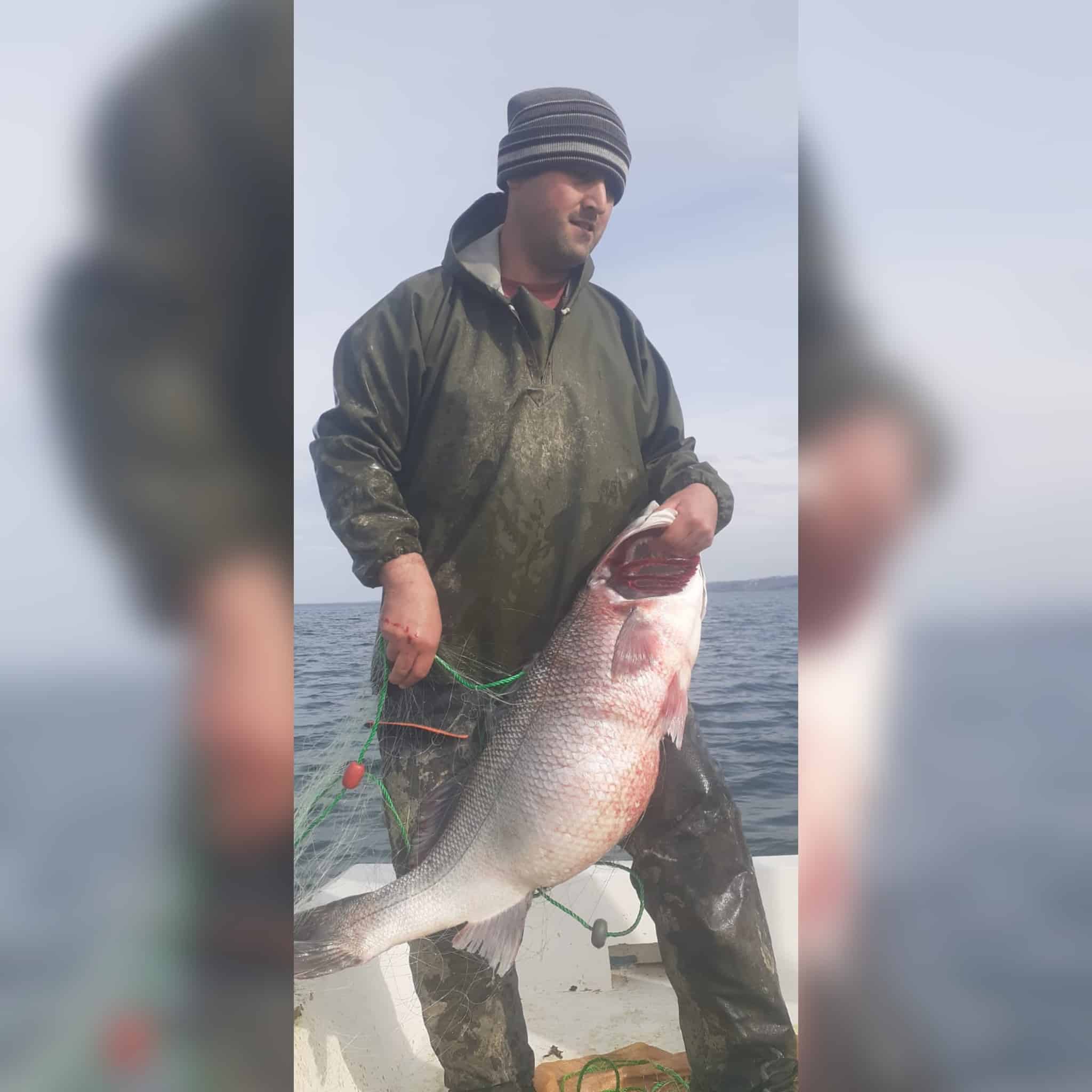 Gebelit Koyunda balıkçılar 15 kilogramlık levrek avladı