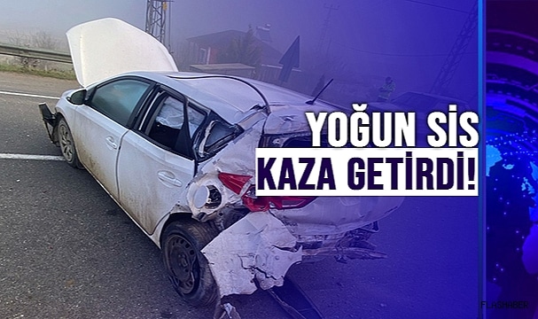 Sinop yolunda yoğun sis nedeniyle kaza