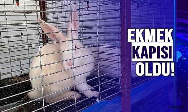 SİNOP’TA YETİŞİYOR!