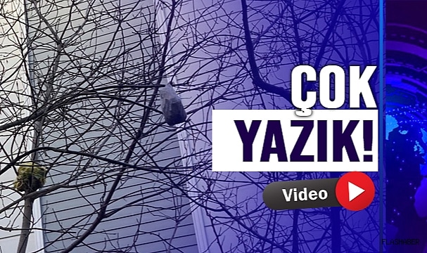 SİNOP’TAN UTANÇ VERİCİ MANZARA!