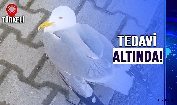 YARALI MARTIYA YARDIM ELİ!