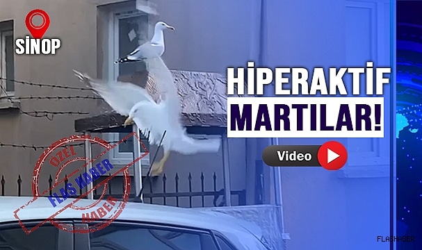 YERLERİNDE DURAMIYORLAR!