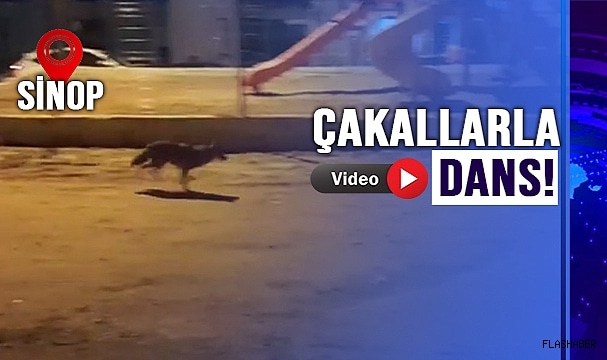 ÇAKALLAR ŞEHRE İNDİ!