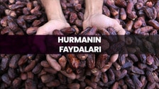 Oruç Açmanın Önemi ve Faydaları