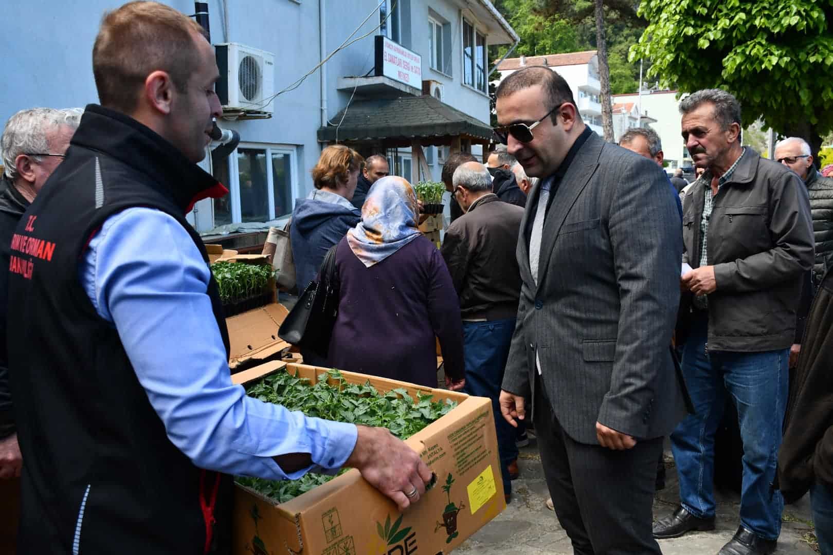 Ayancık'ta 10 bin 500 adet fide dağıtıldı