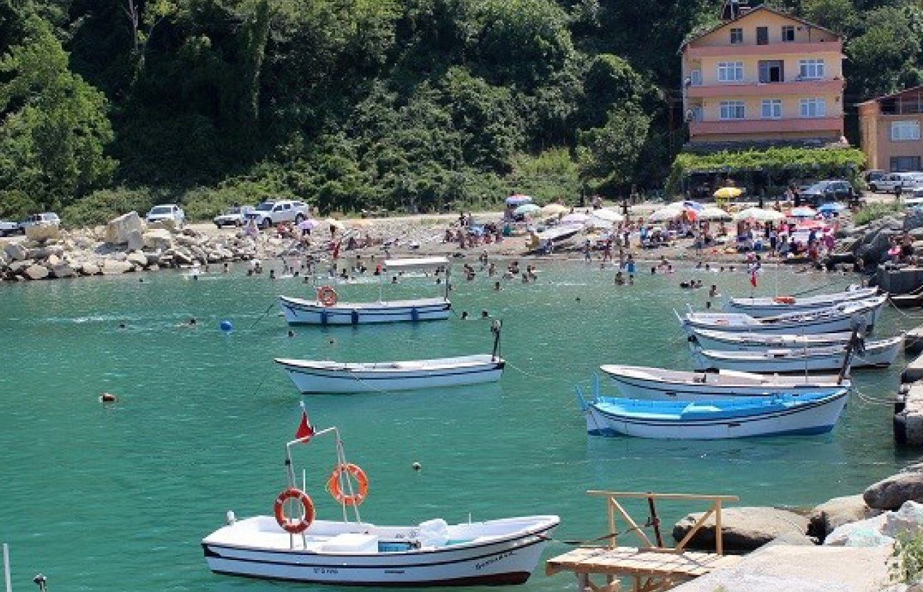Ayancık Köyünde Boğulma Vakası