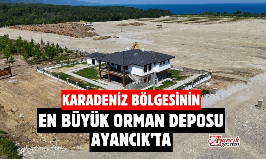 Karadeniz’in En Büyük Orman Deposu Ayancık’ta