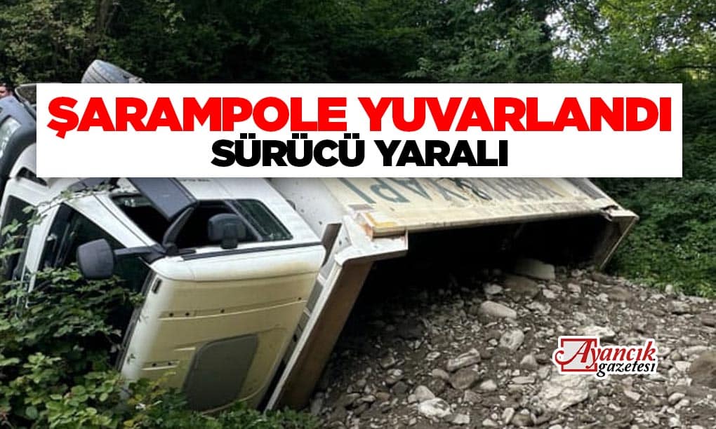 Ayancık’ta Kamyon Şarampole Yuvarlandı