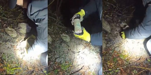 Sinop Merkezli Narkotik Operasyonunda 11 Şüpheli Tutuklandı