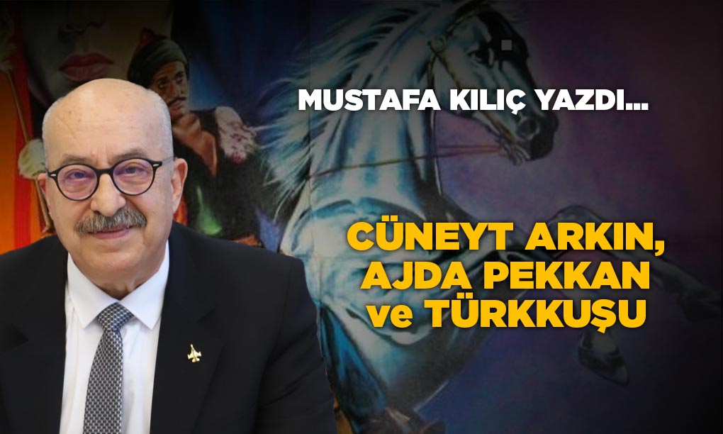 Ajda Pekkan Paraşütçü Mü?