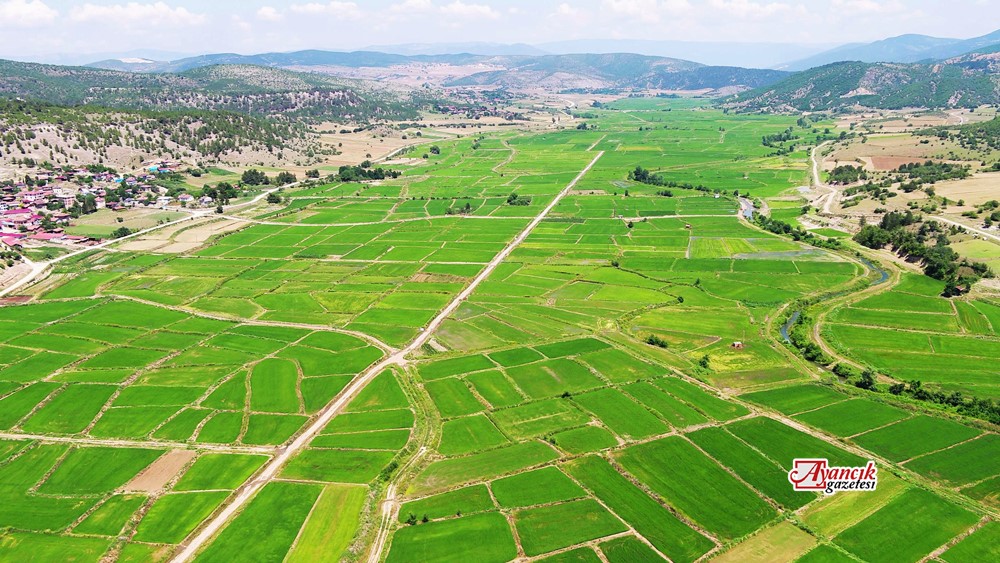DSİ'nin Sinop'taki Dev Yatırımları Açıklandı