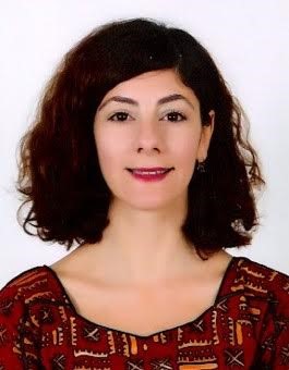 AYANCIK-SİNOP RÜZGARI
