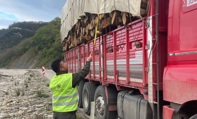 Ayancık Ormanlarında Sıkı Denetim