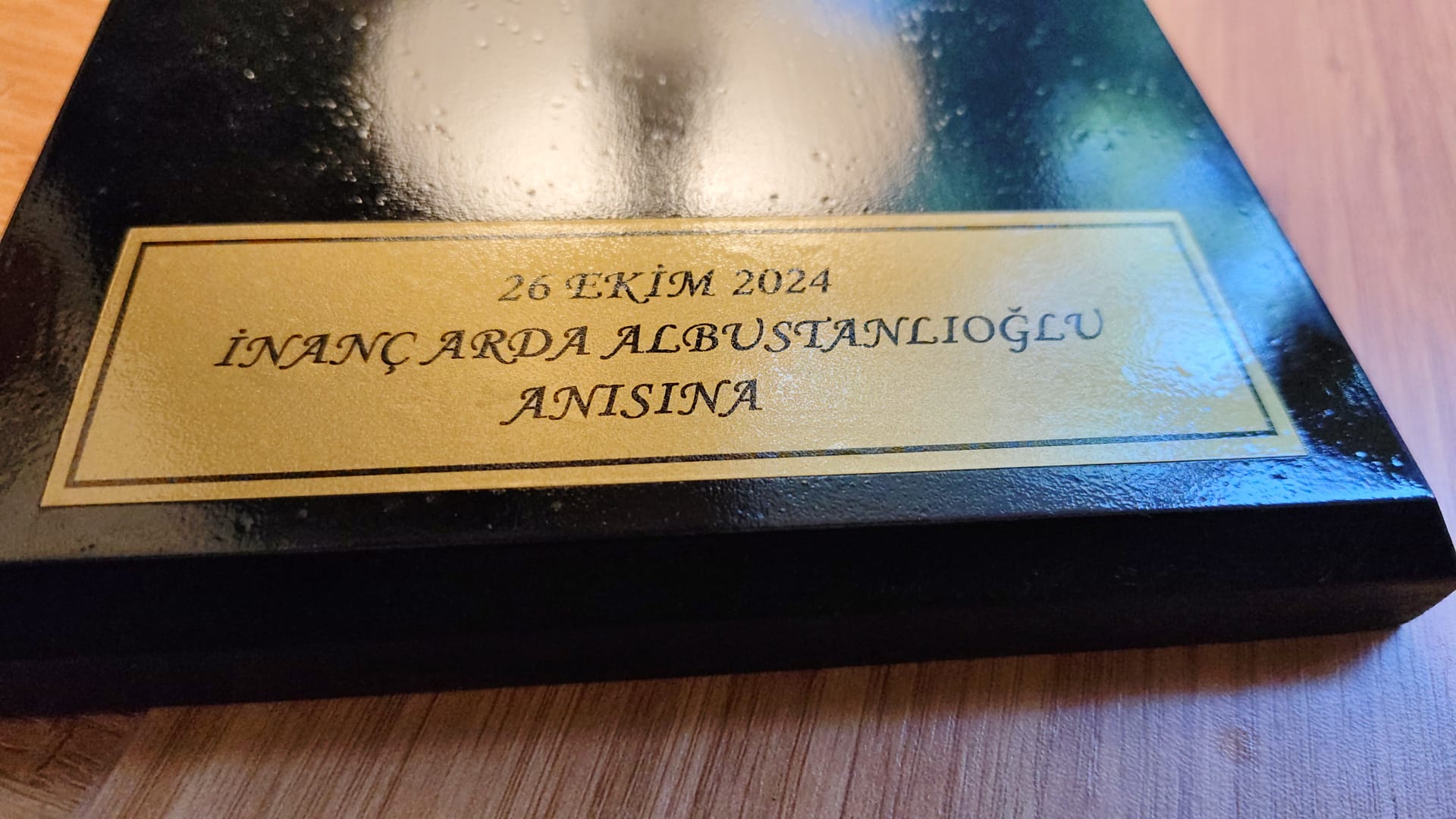 İNANÇ ARDA ALBUSTANLIOĞLU