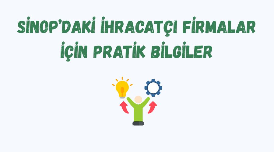 Sinop’daki İhracatçı Firmalar İçin Pratik Bilgiler