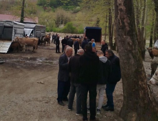 Sinop’ta Kurban Pazarı Hareketlendi