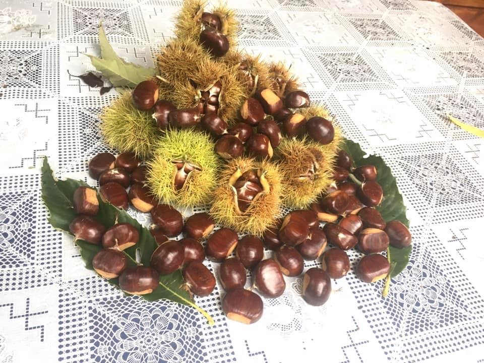AYANCIK KÜLTÜR VE SANAT EVLERİ