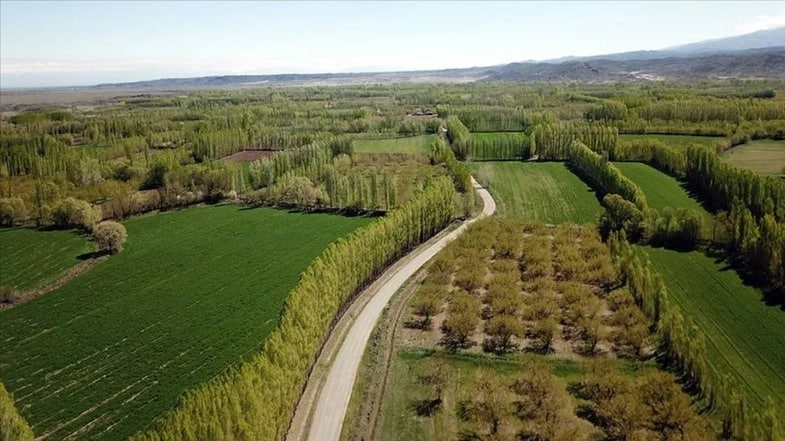 2B Arazilerinin Durumu ve Önemi